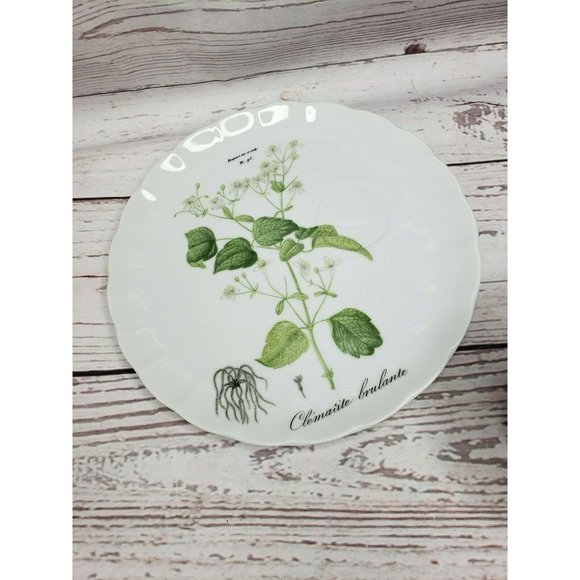 Vintage Hocquart Del Et Sculp Pl 95 Clematite Brulante Tea Cup And Plate Set - Picture 12 of 12